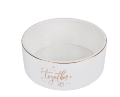 Picture of Dolomite Dog Bowl – 16cm White & Gold Ceramic Bowl